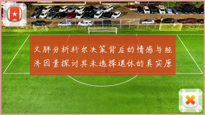 文胖分析科尔决策背后的情感与经济因素探讨其未选择退休的真实原因